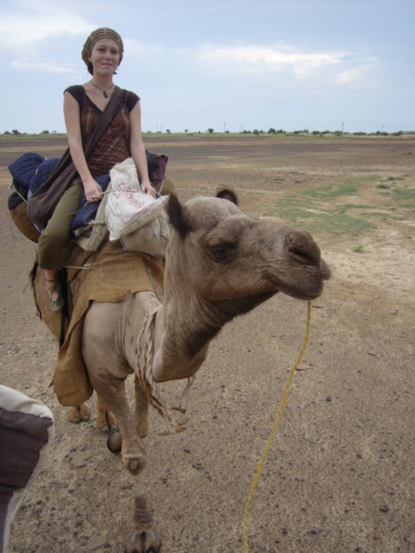 Travel - India - Rajasthan - Desert Camel Trip - Camel Safari